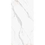Πλακάκι Porcellanato 60×120 Isabella Silver - Image 4