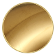Gold Brushed PVD