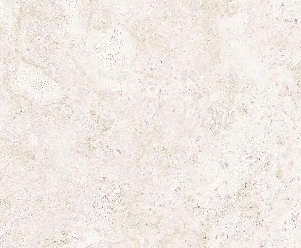 Coralina Aguada Mayor Ceramica-